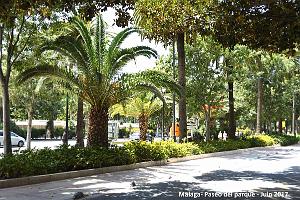 043- Malaga Avenida de Cervantes